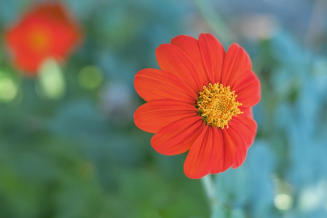 将能够在不 将能够在不